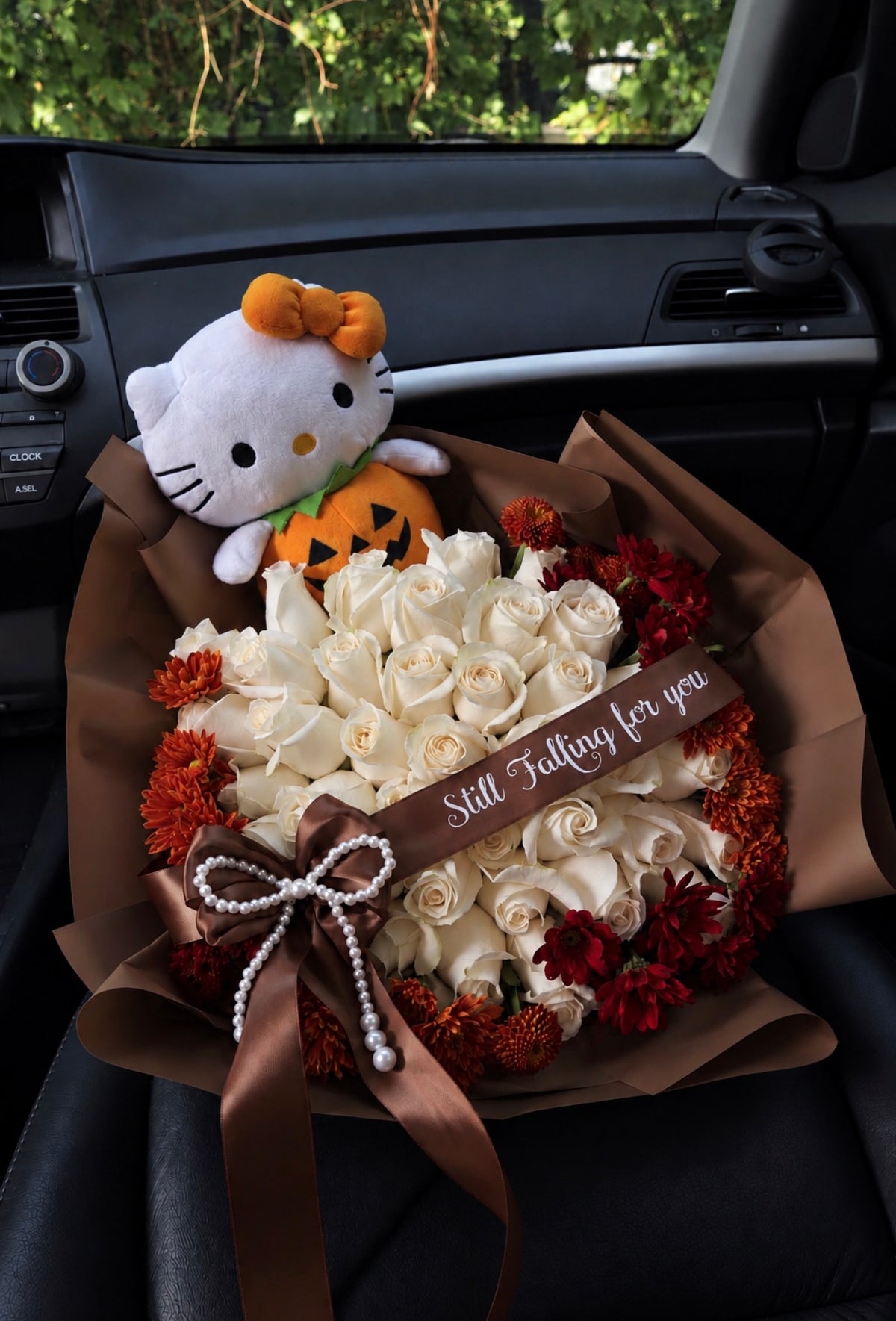 Pumpkin Kitty